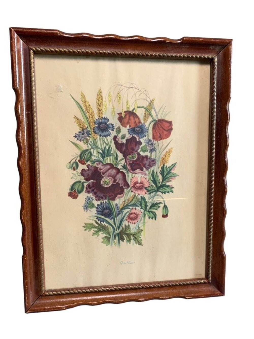 Framed "Field Flowers" Botanical Print Wall Art Wood Frame 10x13 Vtg